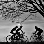 Radfahrer im Gegenlicht