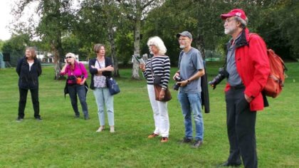 Blickachsen Bad Homburg, 2019