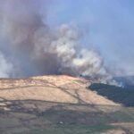 Gorsefire außer Kontrolle