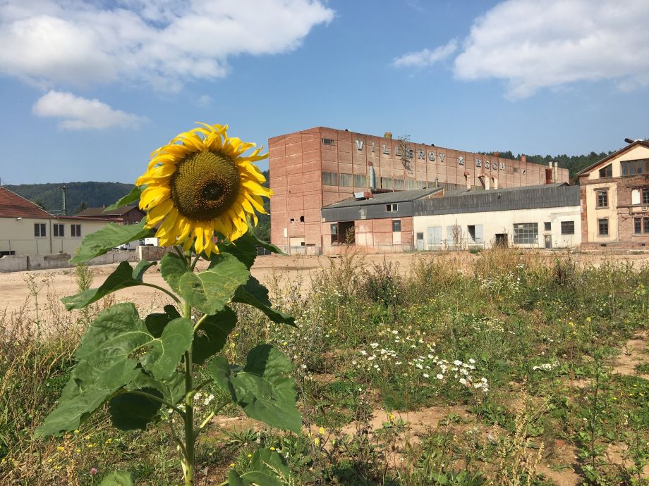 Ralf Quadflieg Fotoreise zur Völklinger Hütte