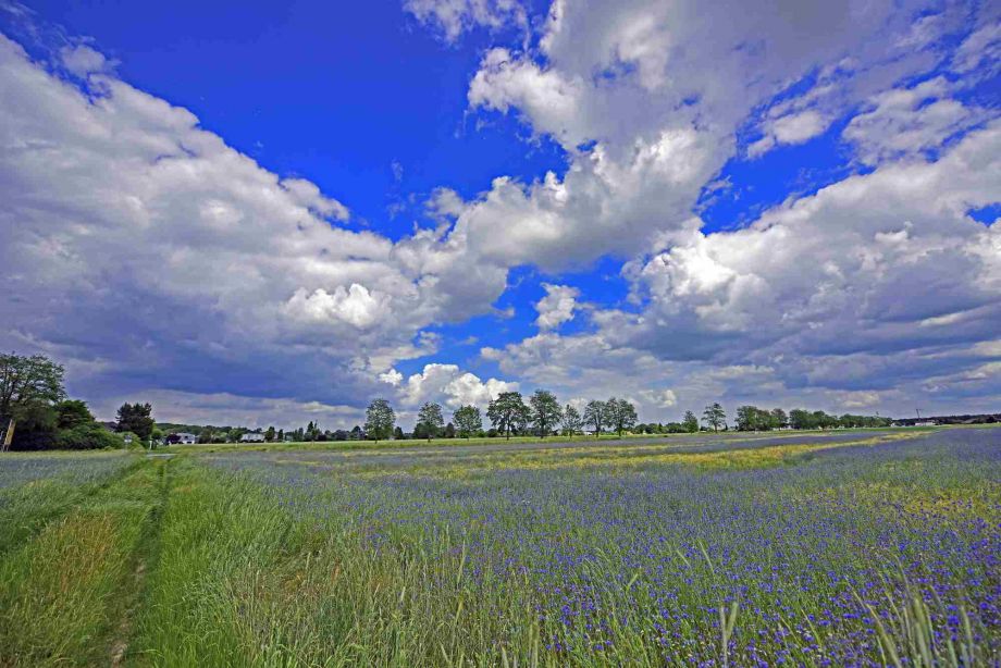 Foto: Steffen Dabow Foto: Steffen Dabow