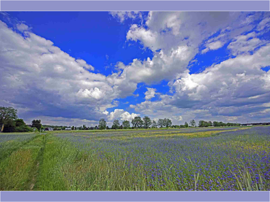 Foto: Steffen Dabow Foto: Steffen Dabow