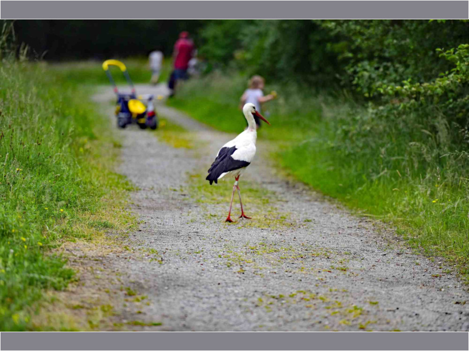 Foto: Steffen Dabow Foto: Steffen Dabow
