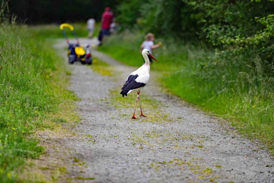 Foto: Steffen Dabow Foto: Steffen Dabow