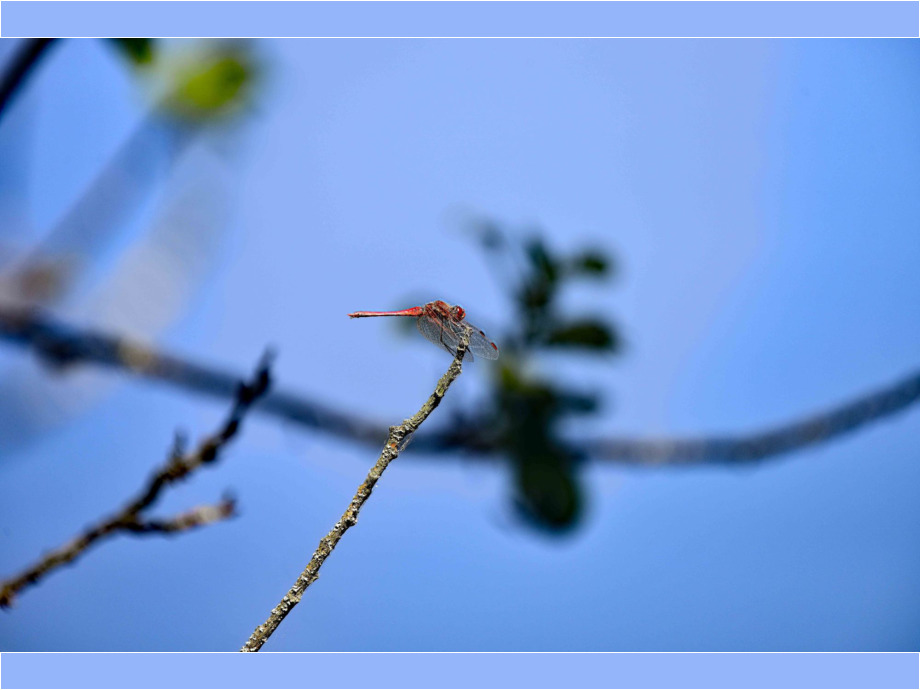 Foto: Steffen Dabow Foto: Steffen Dabow
