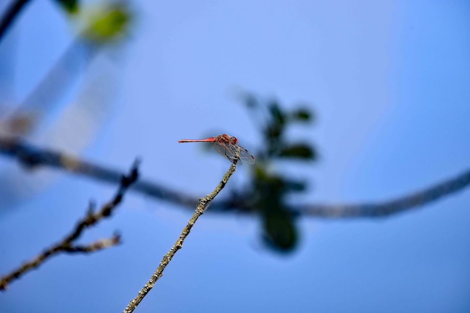 Foto: Steffen Dabow Foto: Steffen Dabow