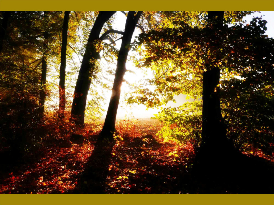 SHerbstsonne