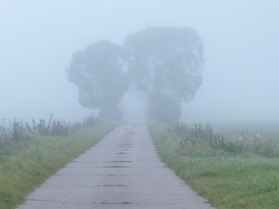 Weg im Nebel