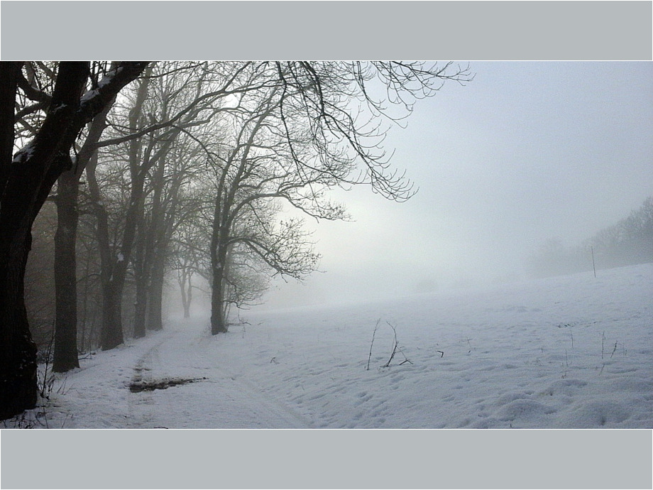 Wintersonne