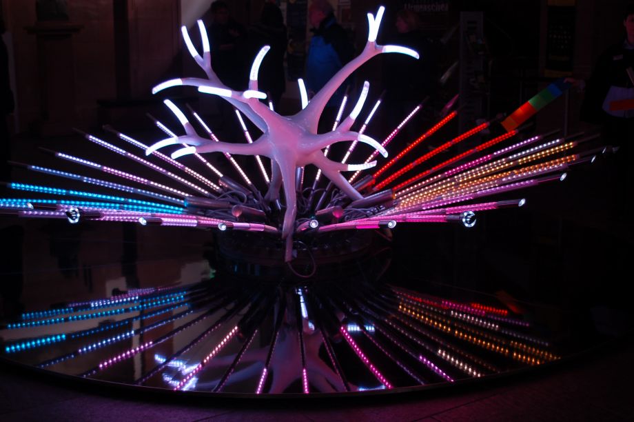 Winterlichter im Palmengarten Frankfurt Winterlichter im Palmengarten Frankfurt