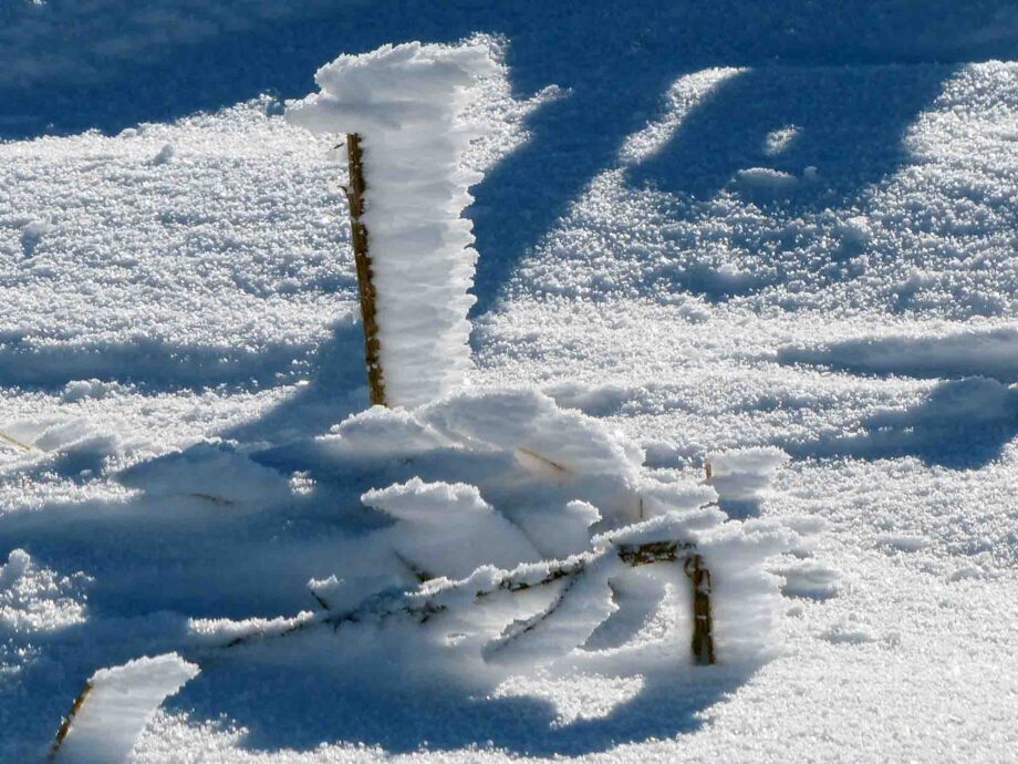 Vom Winde verweht - Winter auf dem Brocken