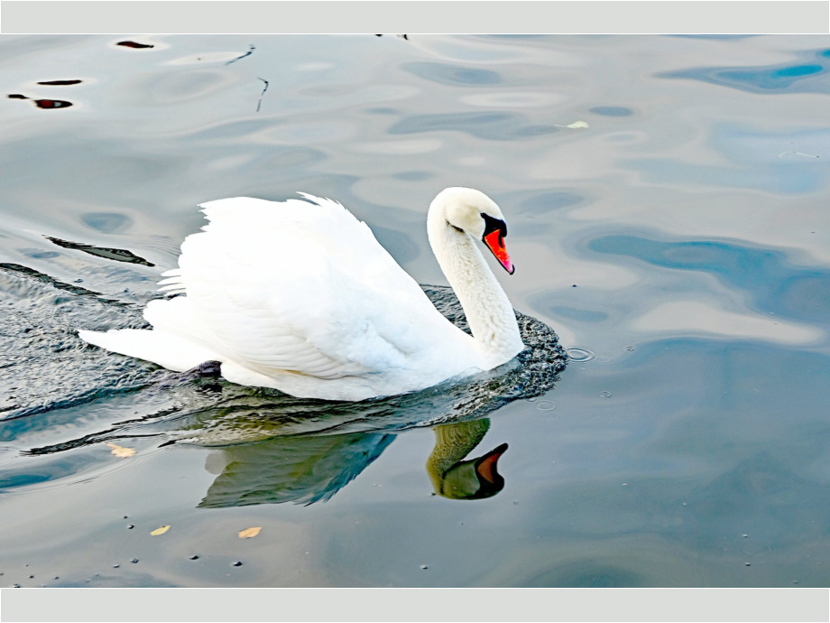 Spieglein, Spieglein ...