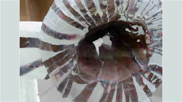 Glaskunst, Ausstellung im Palmengarten 2015