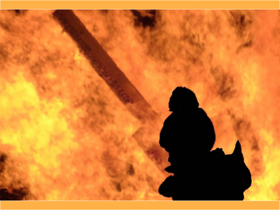 Feuer Feuer