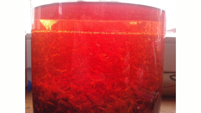 Johanniskraut in Öl