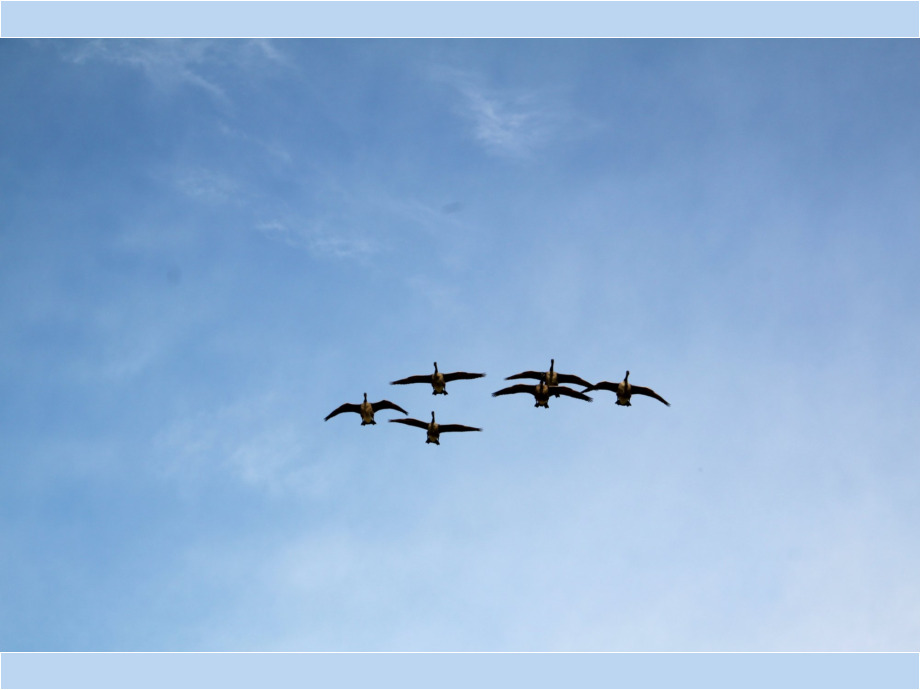 Flugformation