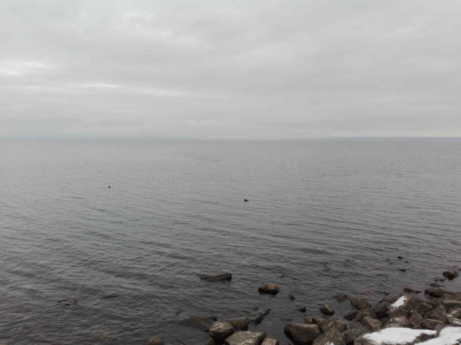 Am Meer