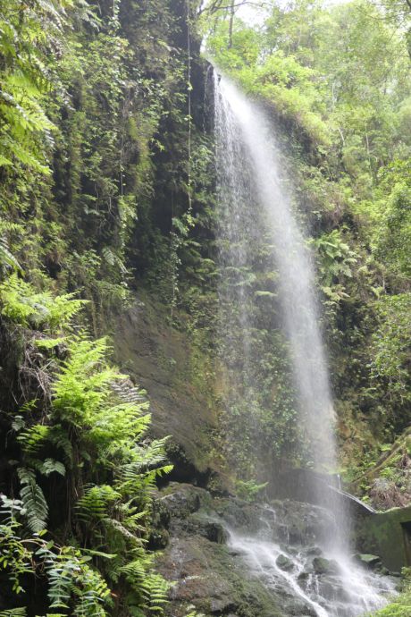 Wasserfall La Palma