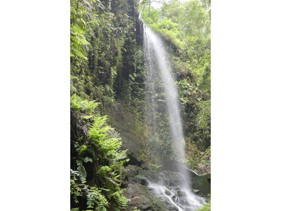 Wasserfall La Palma