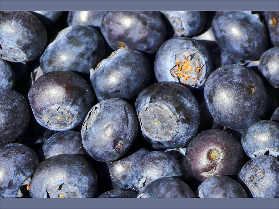 Blaubeeren