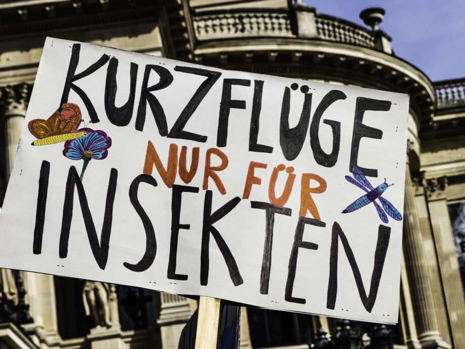 Kurzflüge nur für Insekten