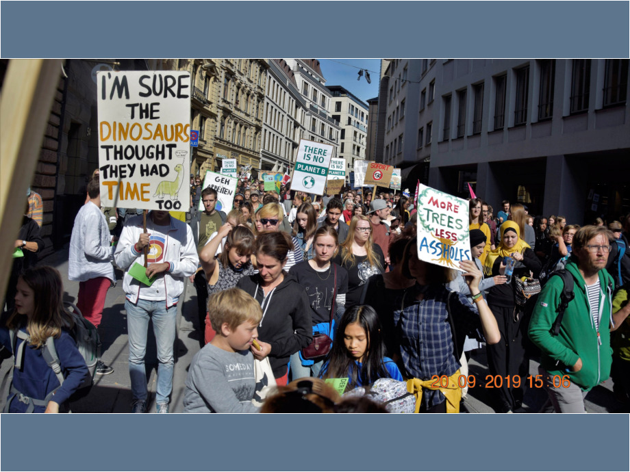Demozug durch die Innenstadt
