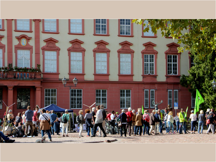 „Fridays for Future“-Demonstration in Michelstadt