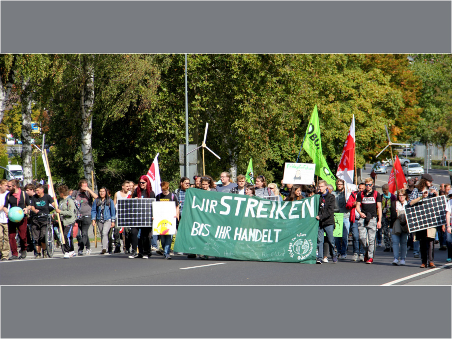 „Fridays for Future“-Demonstration in Michelstadt
