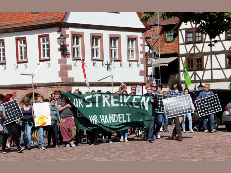 „Fridays for Future“-Demonstration in Michelstadt
