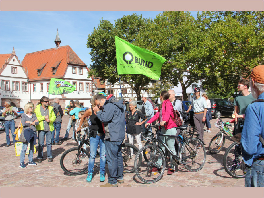 „Fridays for Future“-Demonstration in Michelstadt
