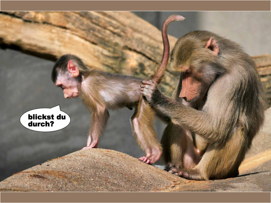 Durchblick