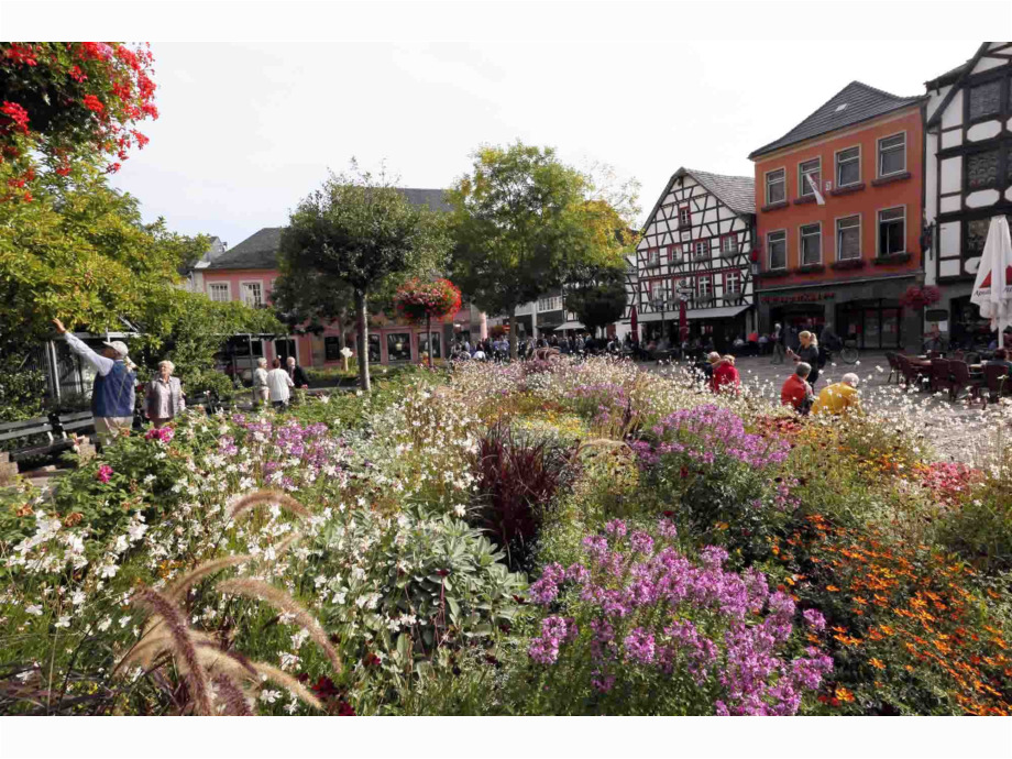 ein Blumenmeer im Zentrum ein Blumenmeer im Zentrum