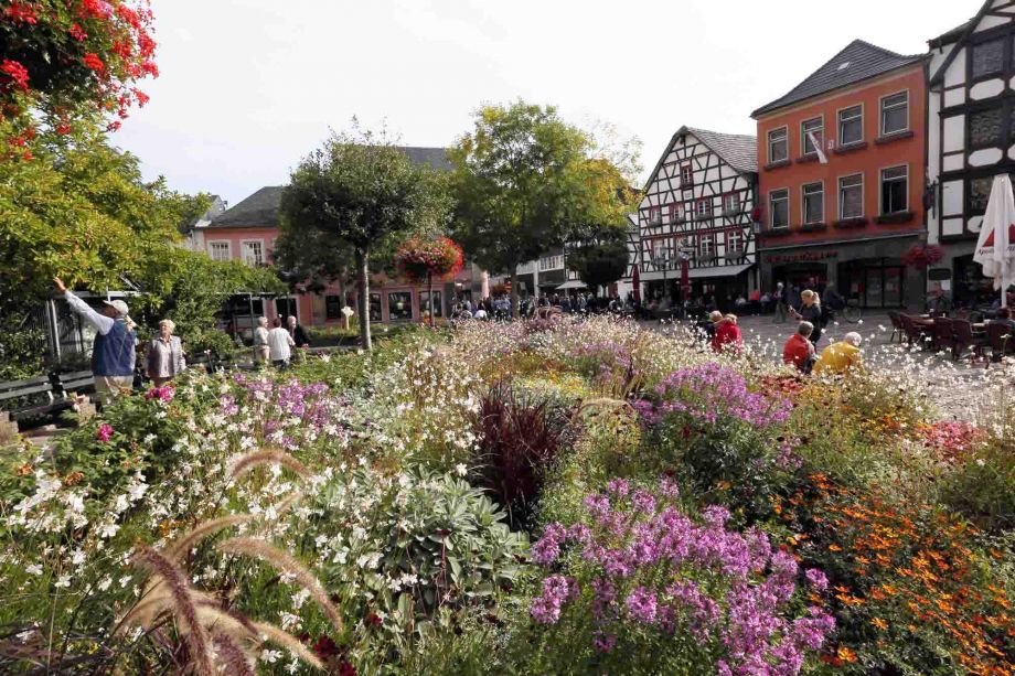 ein Blumenmeer im Zentrum ein Blumenmeer im Zentrum