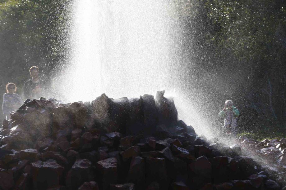 nah ran ans Motiv heißt die Devise nah ran ans Motiv heißt die Devise