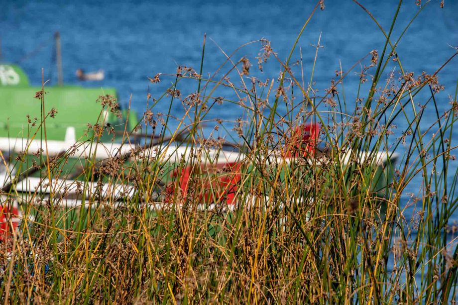 Lust auf eine Bootsfahrt? Lust auf eine Bootsfahrt?