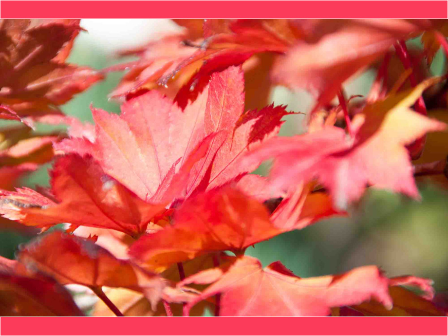 es wird herbstlich es wird herbstlich