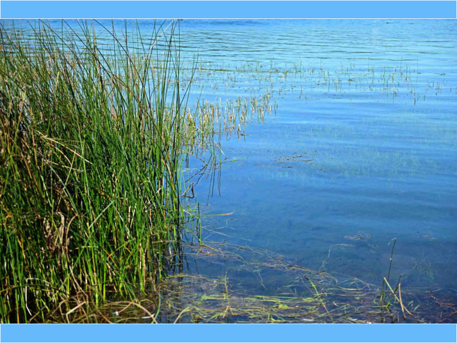 still ruht der See still ruht der See