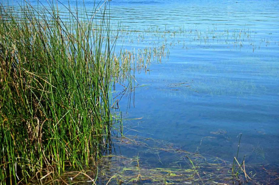 still ruht der See still ruht der See