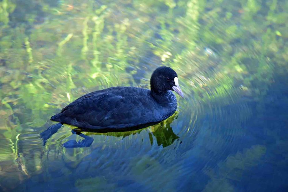 Füttern verboten Füttern verboten