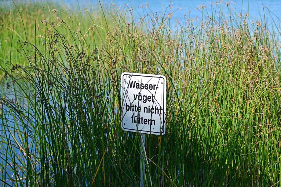 klare Ansage klare Ansage