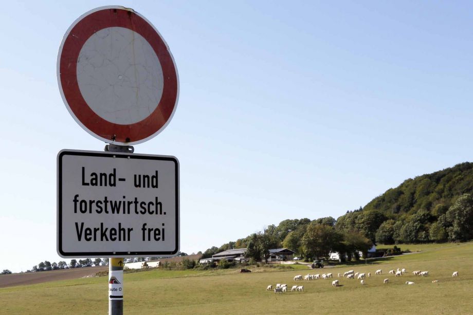 nichts als schöne Land(wirt)schaft in Engeln nichts als schöne Land(wirt)schaft in Engeln