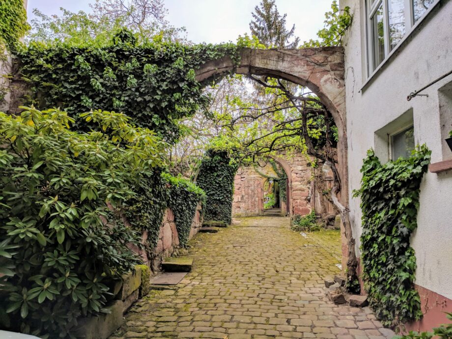 Hinterhof im Winzerhaus in Rhodt
