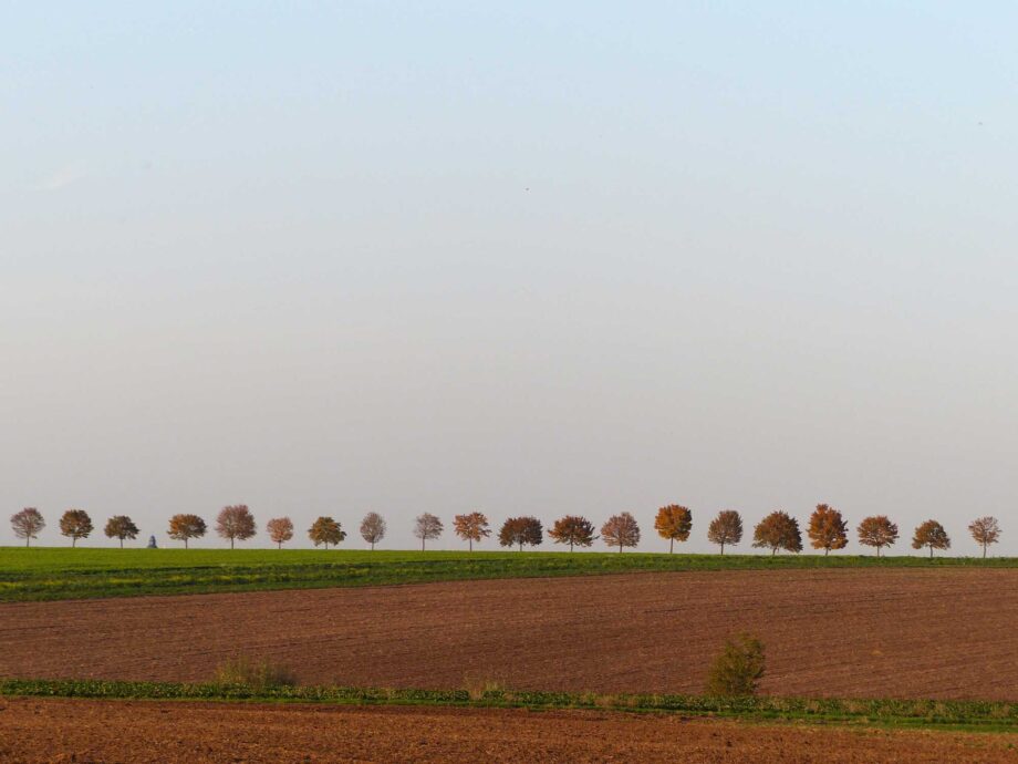 Auf dem Land