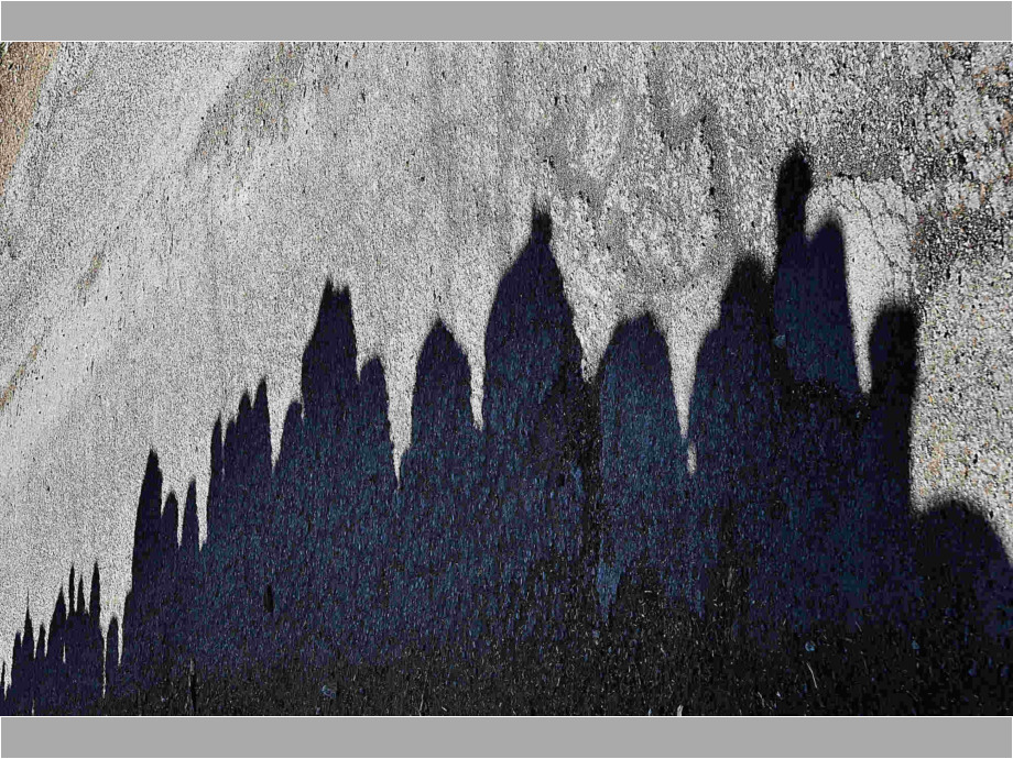 Skyline auf dem Waldweg