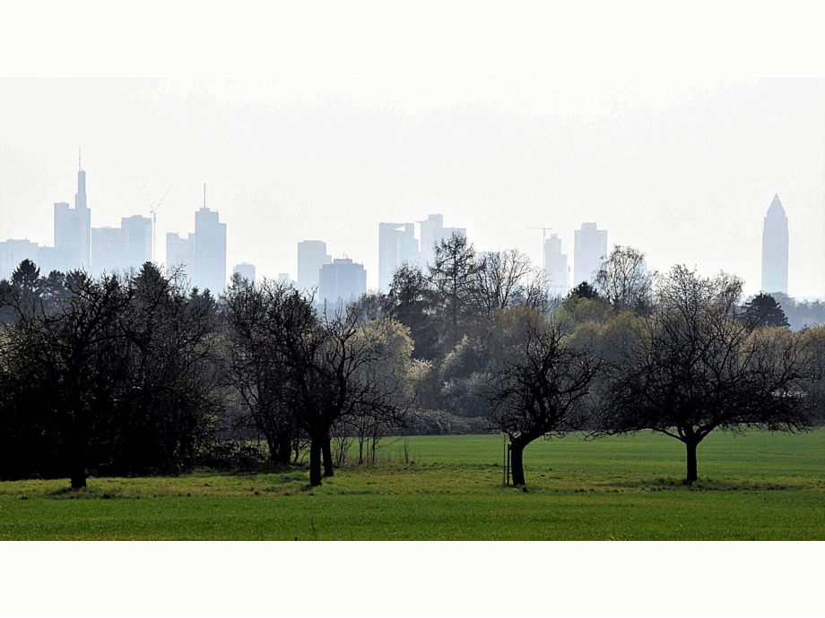 Skyline Frankfurt, Streuobstwiesen Berger Rücken