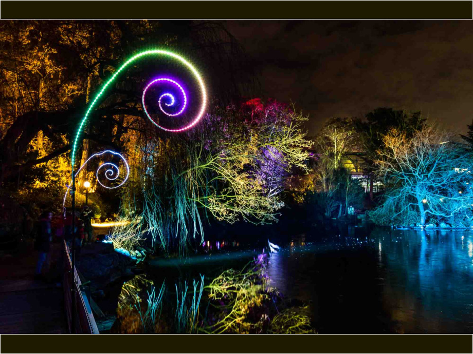 Winterlichter 2019 im Palmengarten