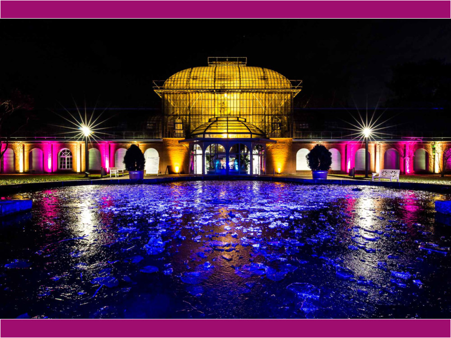 Winterlichter 2019 im Palmengarten