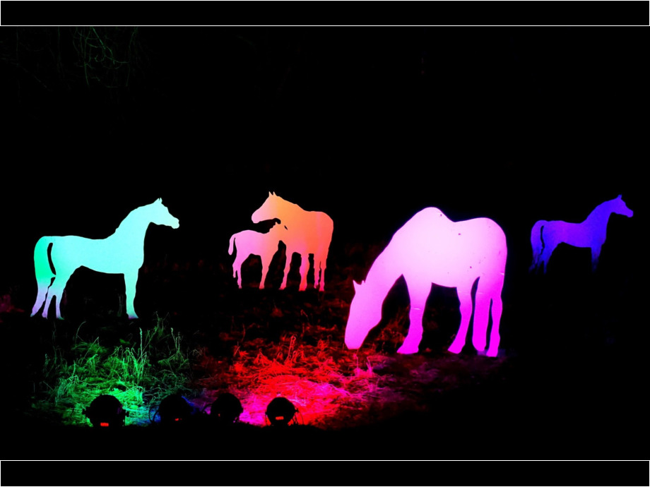 Winterlichter im Palmengarten