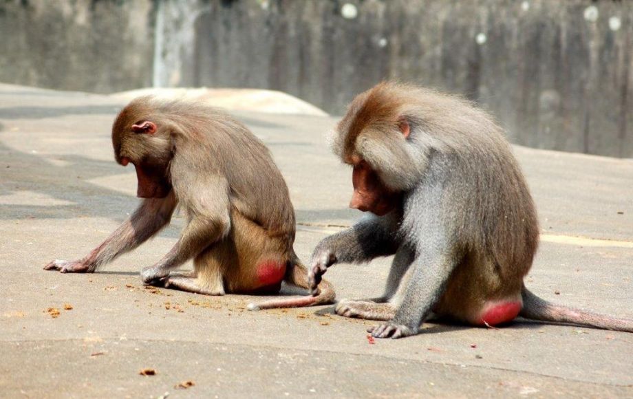 Konzentration Konzentration