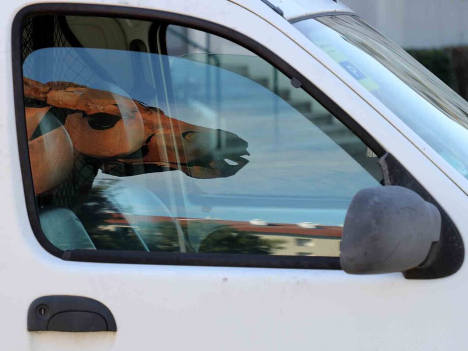 Seltsamer Beifahrer Seltsamer Beifahrer